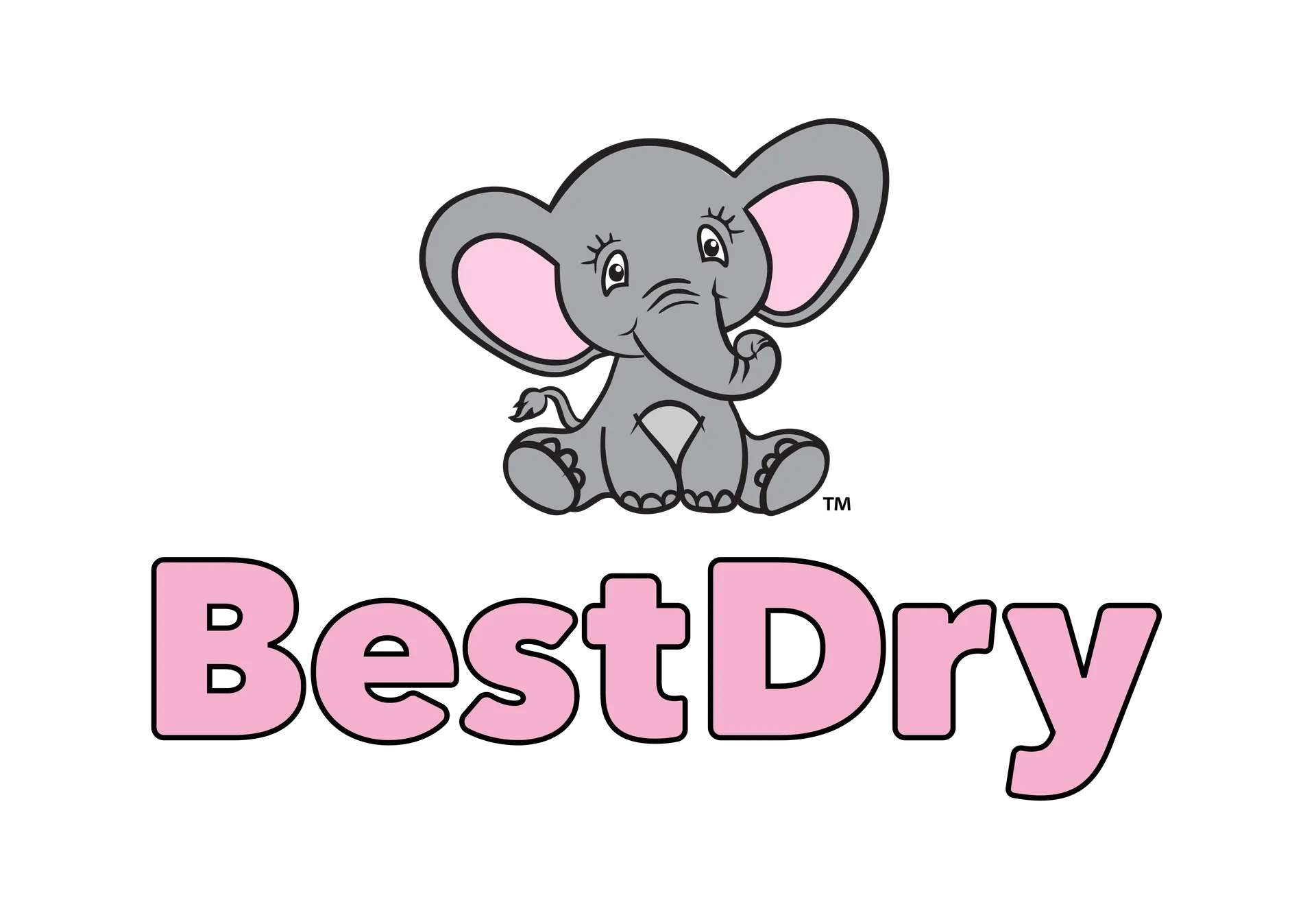 BestDry - Water Mitigation & Restoration Specialists