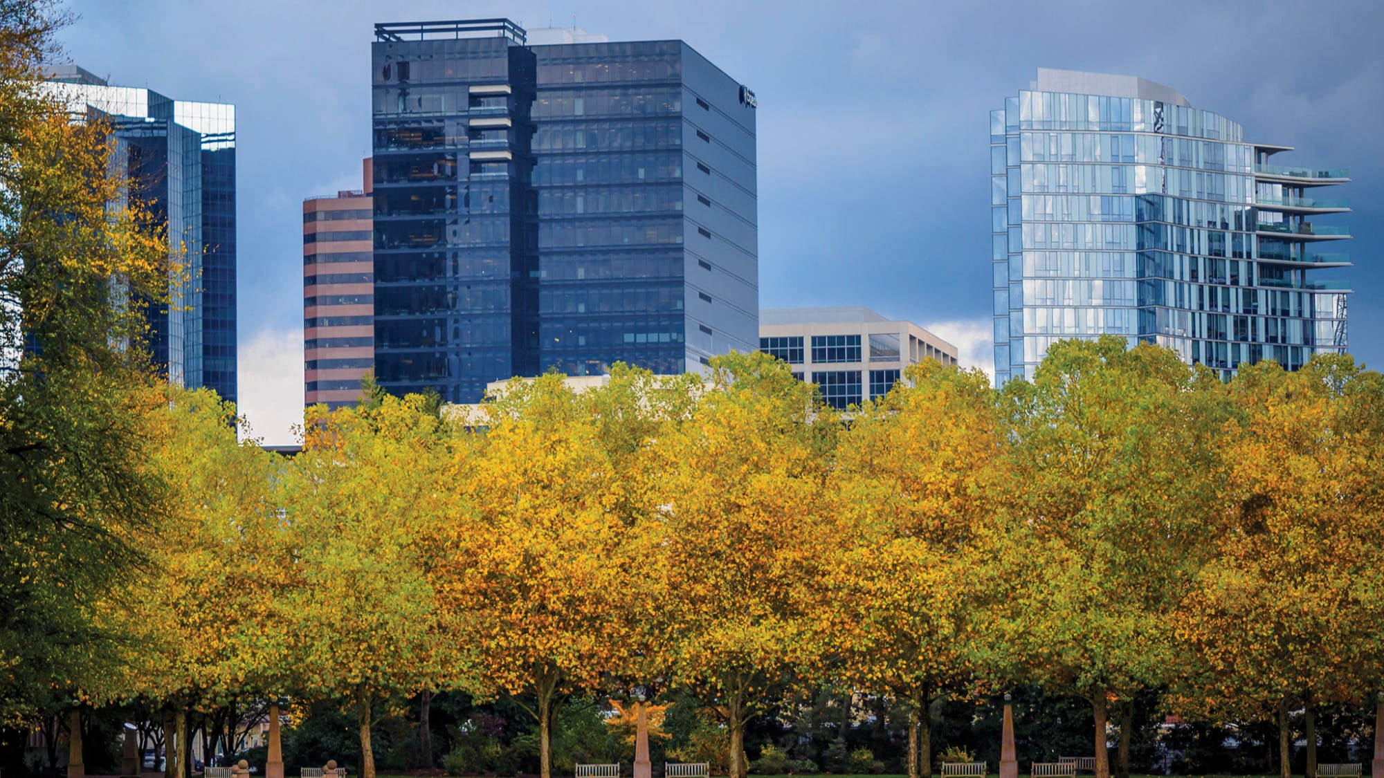 Bellevue Washington skyline - BestDry provides professional water damage restoration across the Eastside