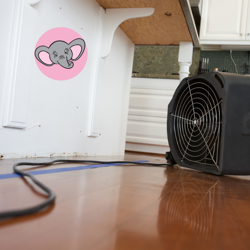 Professional river flood damage restoration services in Washington by Best Dry water mitigation experts